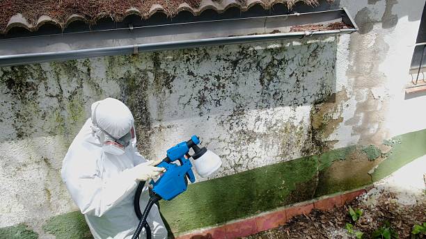 Top rated local Mold Inspection And Testing specialists in North Wales, PA